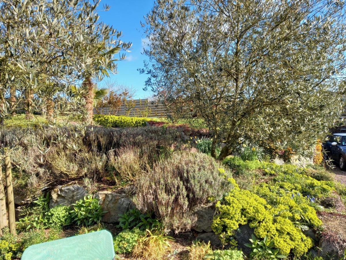 Havre De Paix Et Jardin Tropical. Chambre Privee Le Rheu Bagian luar foto
